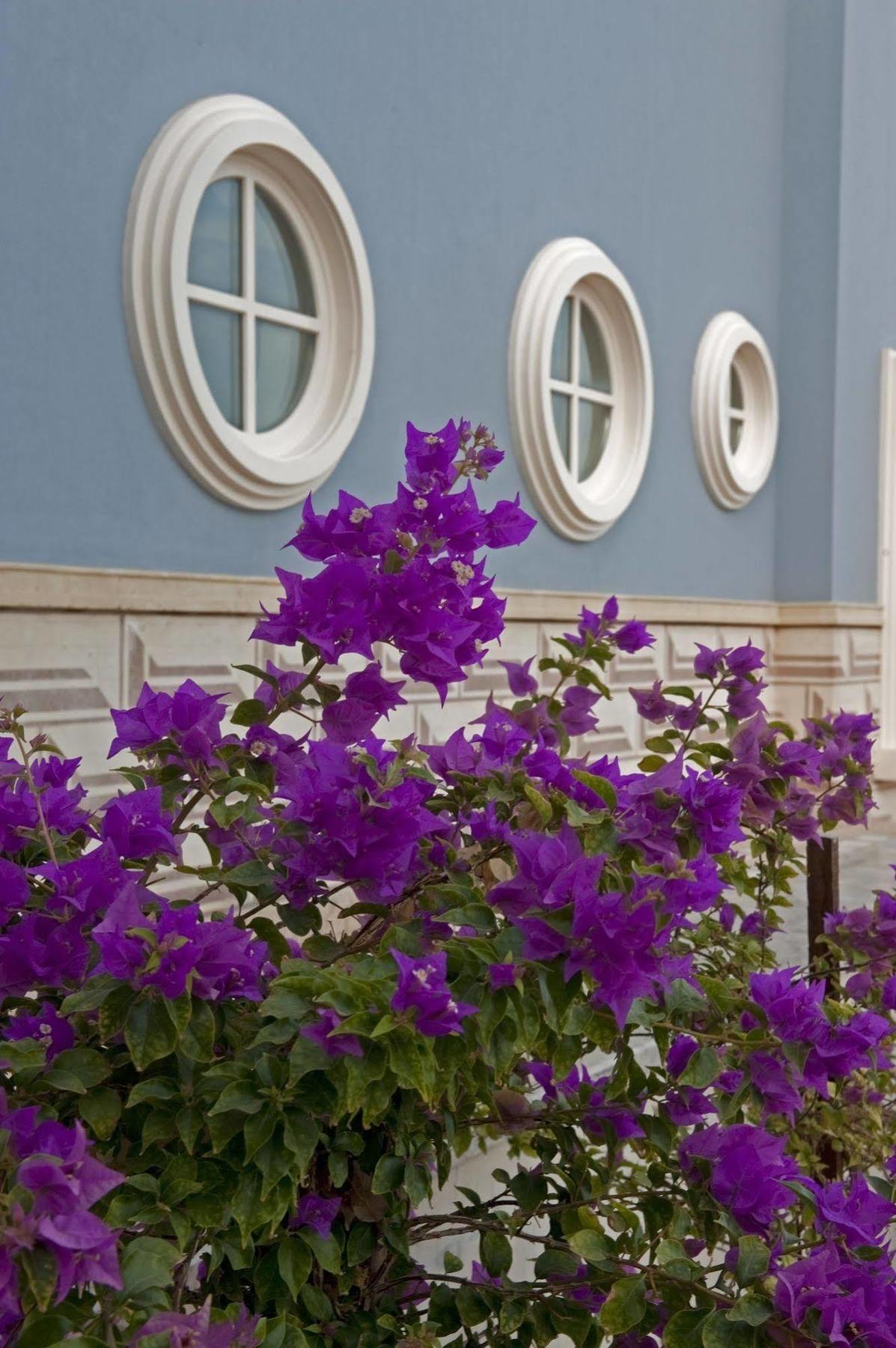 הורגהדה La Maison Bleue El Gouna (Adults Only) מראה חיצוני תמונה